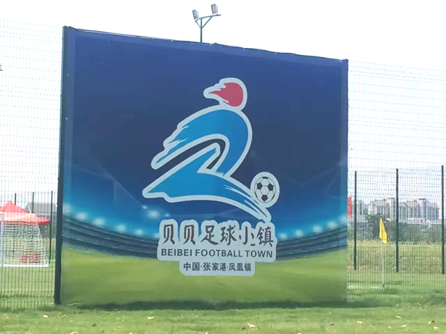 2017年中國足球協會第二十屆“貝貝杯”青少年足球賽